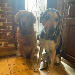 Meet your Posher, Jeff